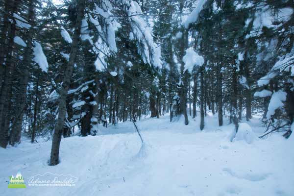 20 12 Monscera Bognanco 4071