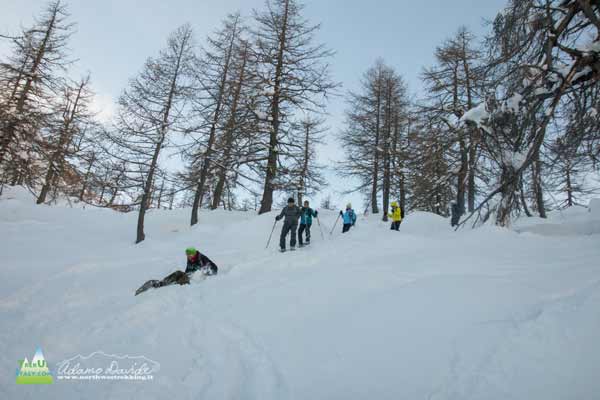 20 12 Monscera Bognanco 4090