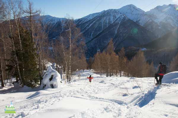 20 12 Monscera Bognanco 4122