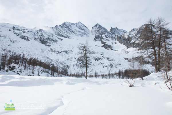 20 12 LagoDres 4151