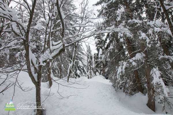 21 02 Campelli scalve 4412