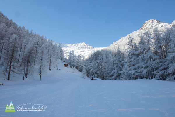 21 02 Jervis Orco 4416