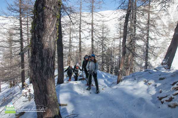 21 02 Jervis Orco 4420