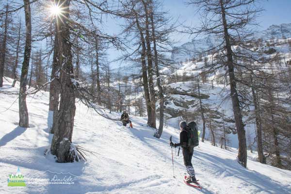 21 02 Jervis Orco 4423