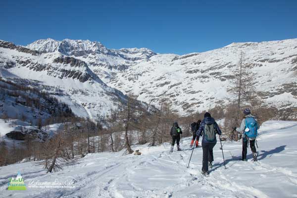 21 02 Jervis Orco 4449