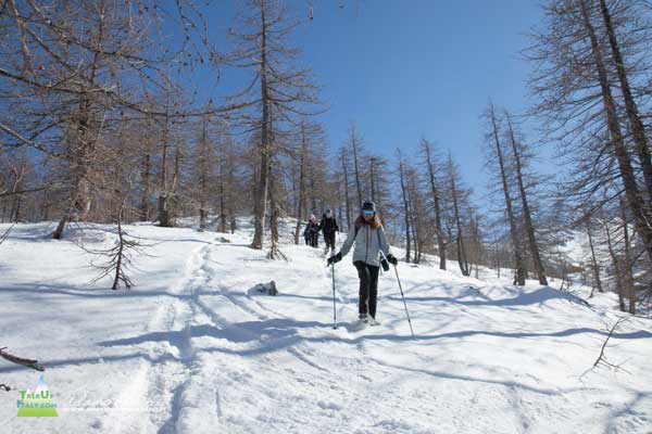 21 02 Jervis Orco 4452