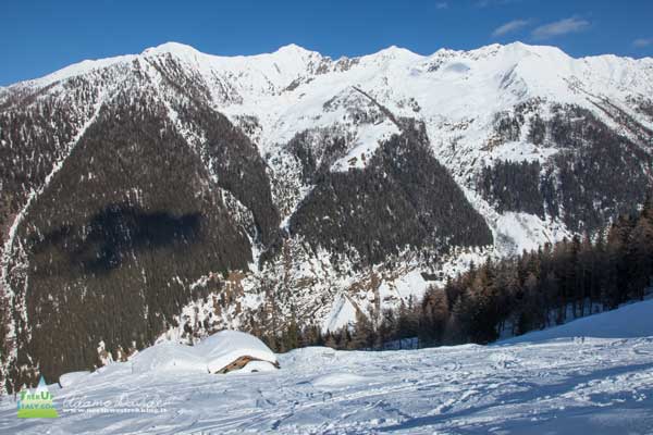 21 02 DosTacherTartano 4567