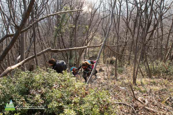 21 02 BarroCreste 4572