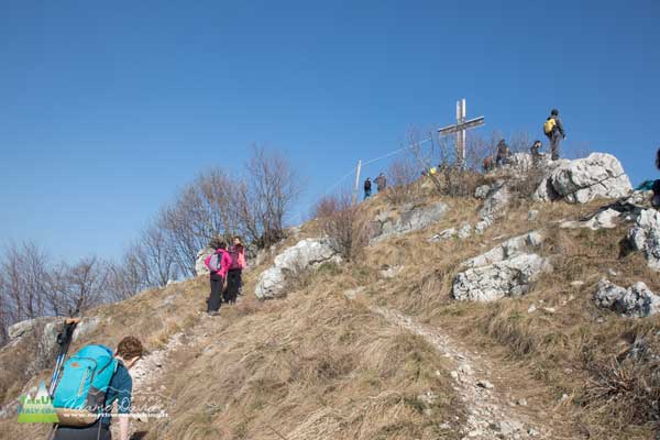 21 02 BarroCreste 4602