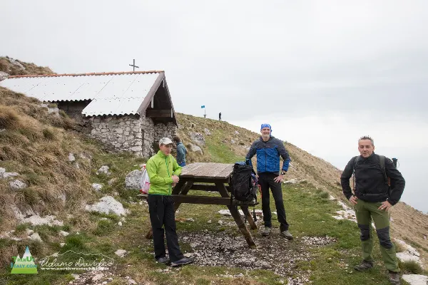 pizzocolo est gruppocima