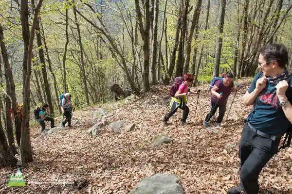 21 05 AlpeColma 4905