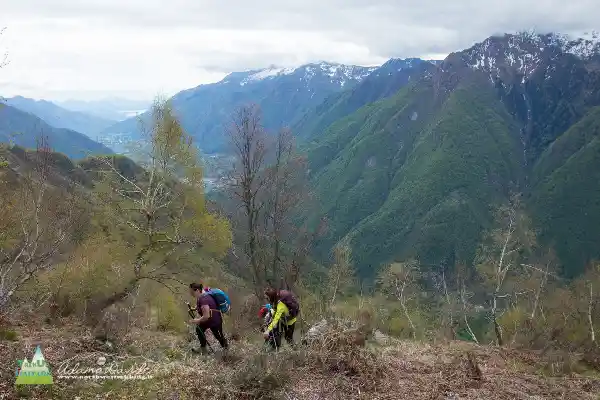 21 05 AlpeColma 4915