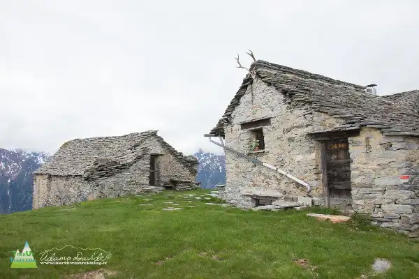 21 05 AlpeColma 4929