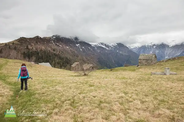 21 05 AlpeColma 4935