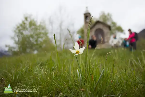 21 05 AlpeColma 4957