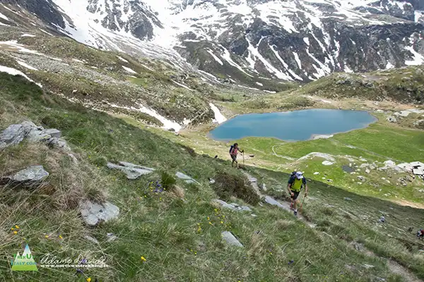 21 06 angeloga motta nero 5367