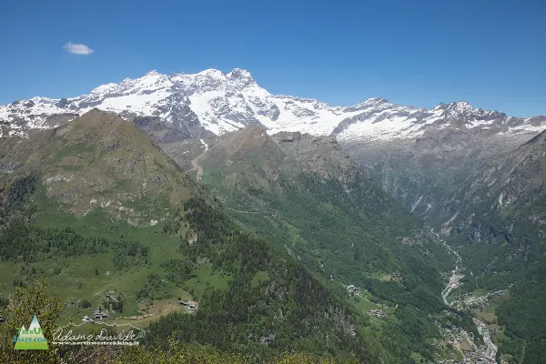 21 06 mutta valsesia 5430