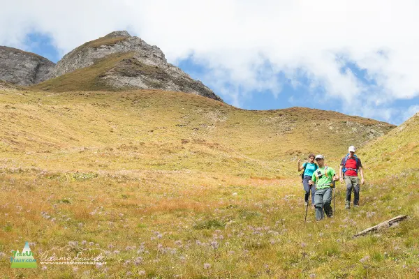 21 09 PtaValrossa 7254 600