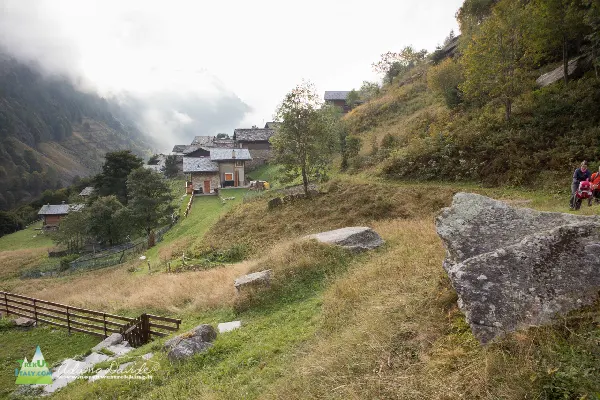 21 10 GoleCardinello 7345 600