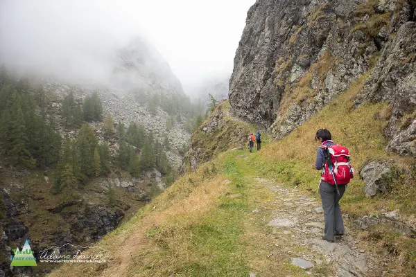 21 10 GoleCardinello 7357 600