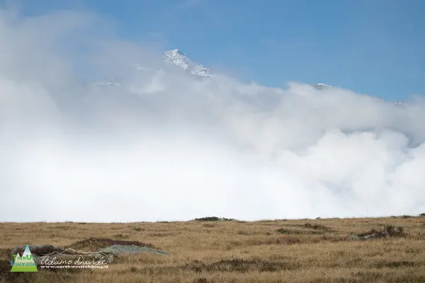 21 10 GoleCardinello 7362 600