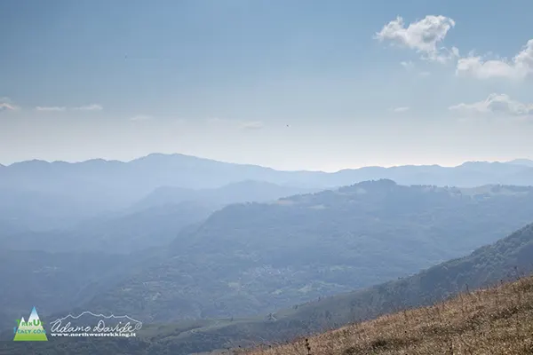 21 10 Alfeo 7405 600