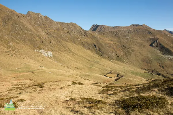 21 10 CimaLemma 7424 600