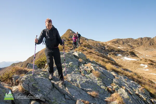 21 10 CimaLemma 7431 600