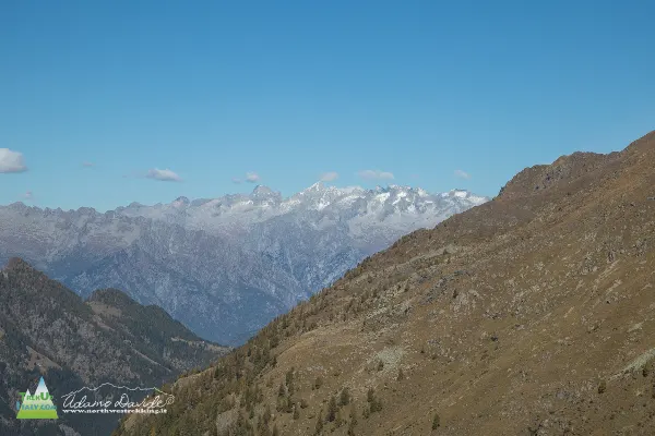 21 10 CimaLemma 7433 600