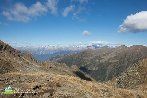 21 10 CimaLemma 7444 600