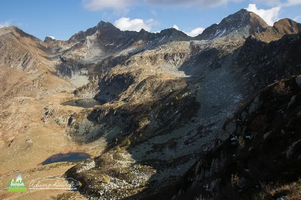 21 10 CimaLemma 7454 600