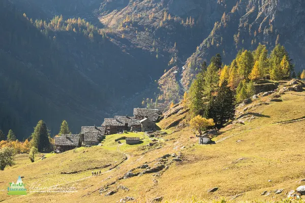 21 10 ValOtro 7495 600