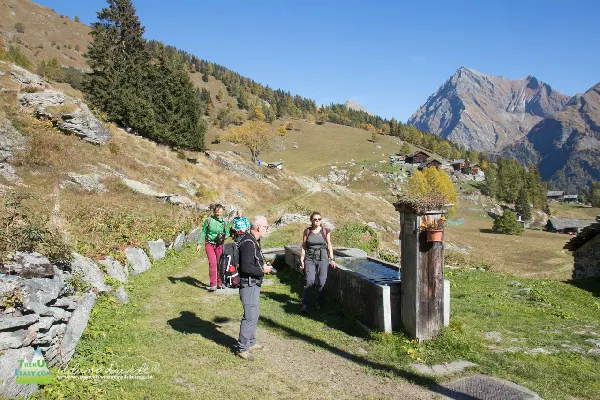 21 10 ValOtro 7499 600