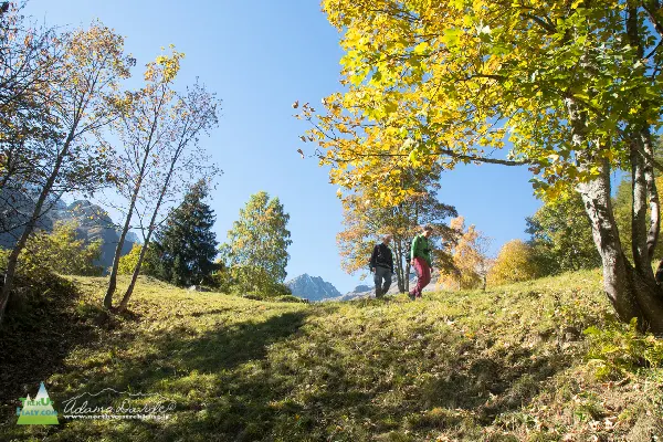 21 10 ValOtro 7507 600