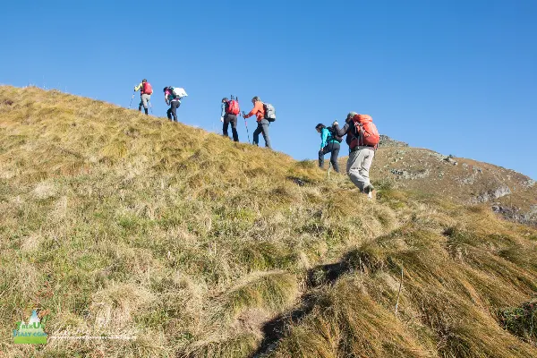 21 10 MezzenoGemelli 7512 600