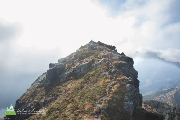 21 10 MezzenoGemelli 7536 600