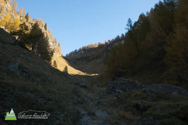 21 10 DeveroSangiatto 7581 600