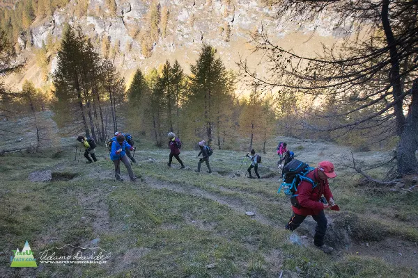 21 10 DeveroSangiatto 7590 600