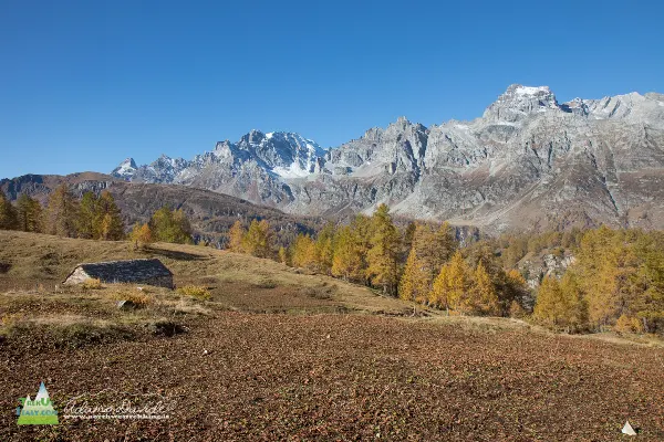 21 10 DeveroSangiatto 7592 600