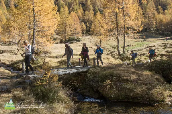 21 10 DeveroSangiatto 7627 600