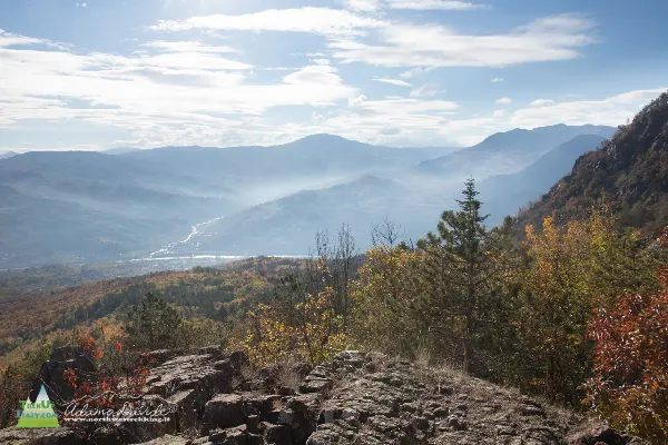 21 11 Parcellara 7648 600