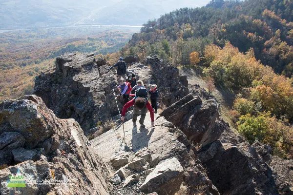 21 11 Parcellara 7652 600