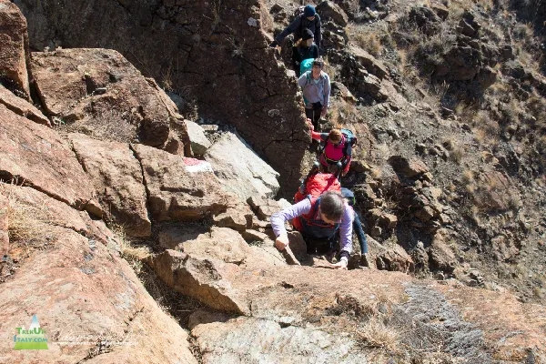 21 11 Parcellara 7659 600