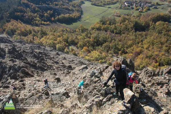 21 11 Parcellara 7667 600