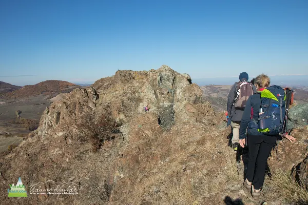 21 11 Parcellara 7684 600