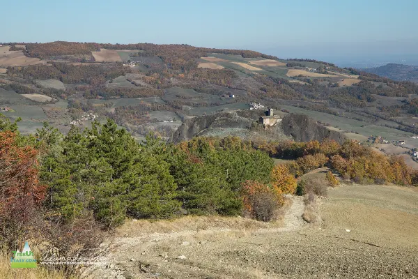 21 11 Parcellara 7705 600