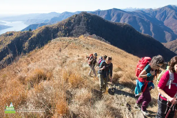 21 11 Cerano 7712 600