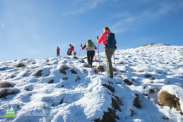 21 11 Cerano 7734 600