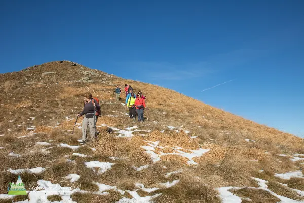 21 11 Cerano 7739 600