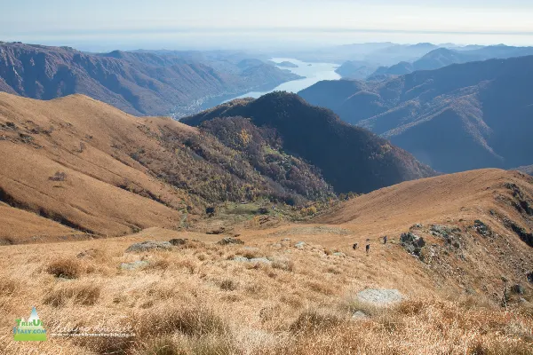 21 11 Cerano 7744 600